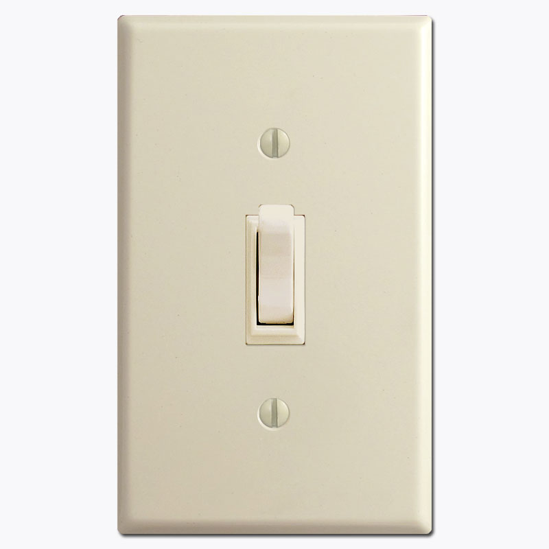 Brown plug with push switch and toggle